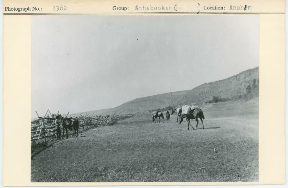 Image representing photograph.