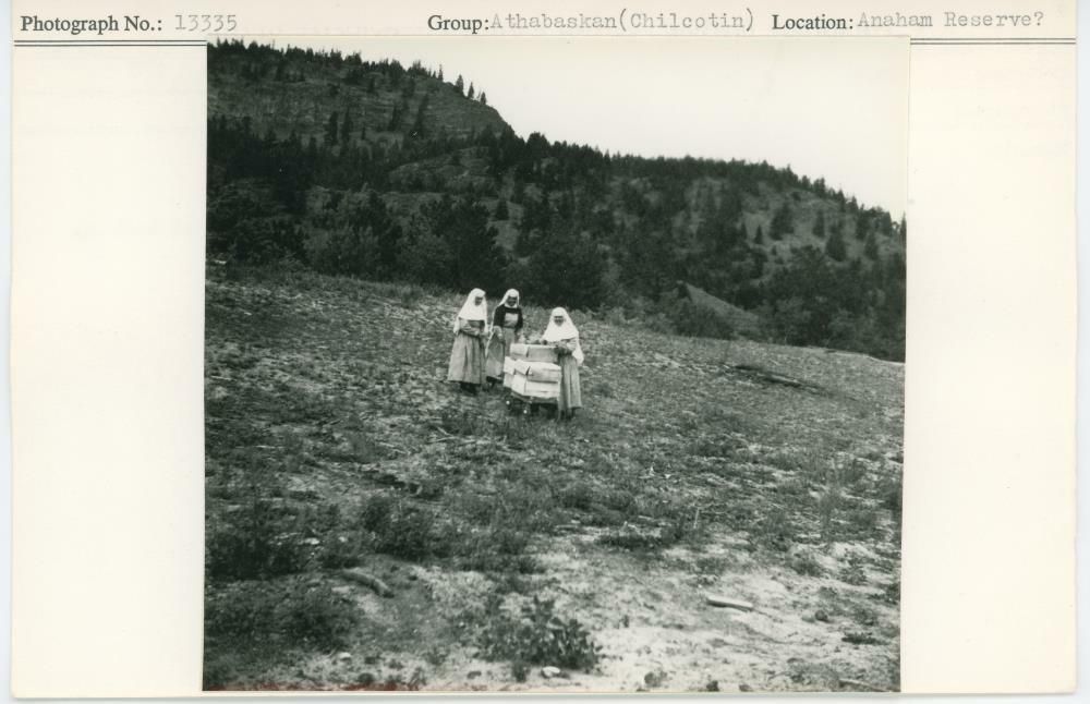 Image representing photograph.