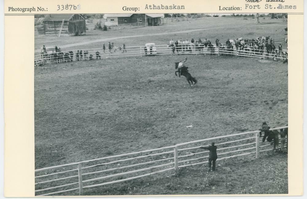 Image representing photograph.