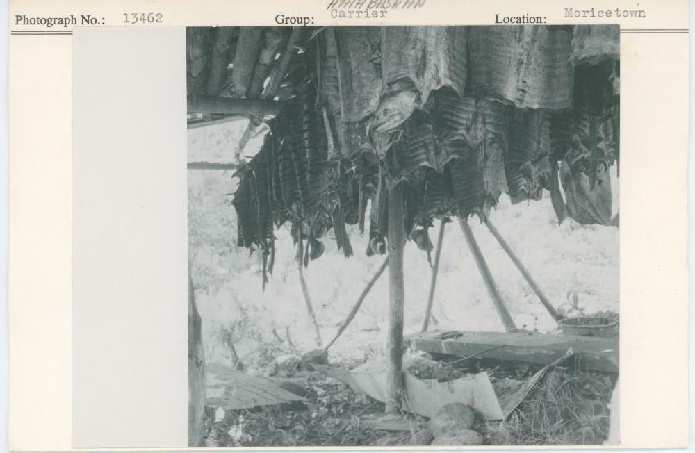 Image representing photograph.