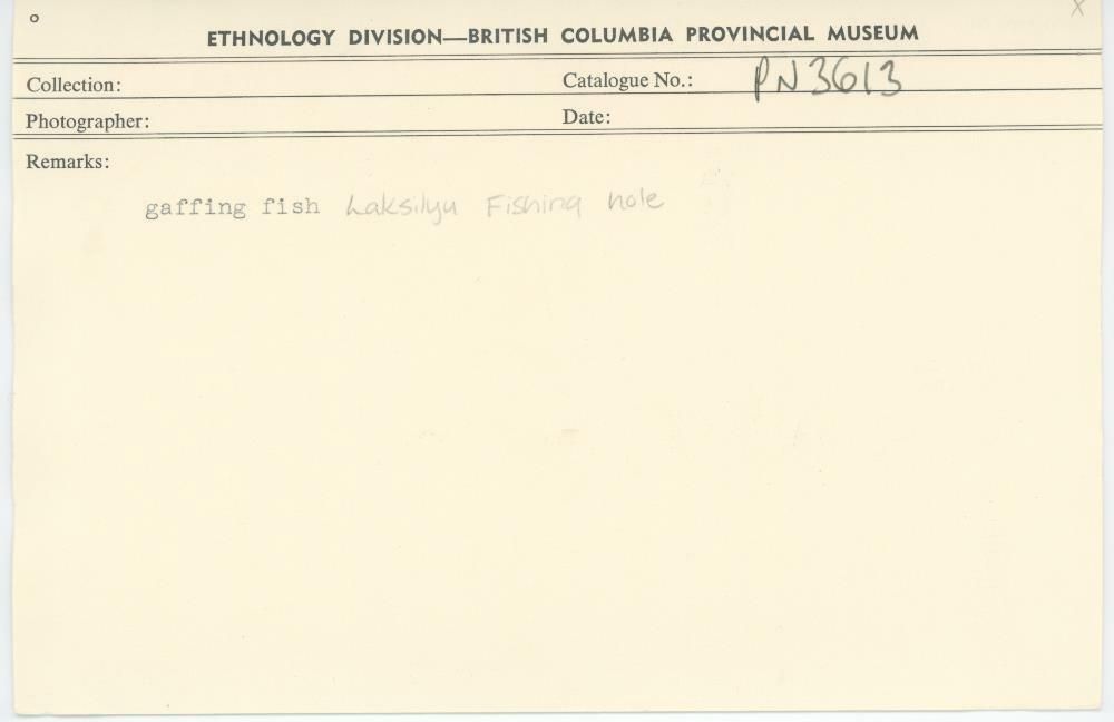 Image representing photograph.