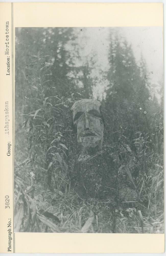 Image représentant photograph