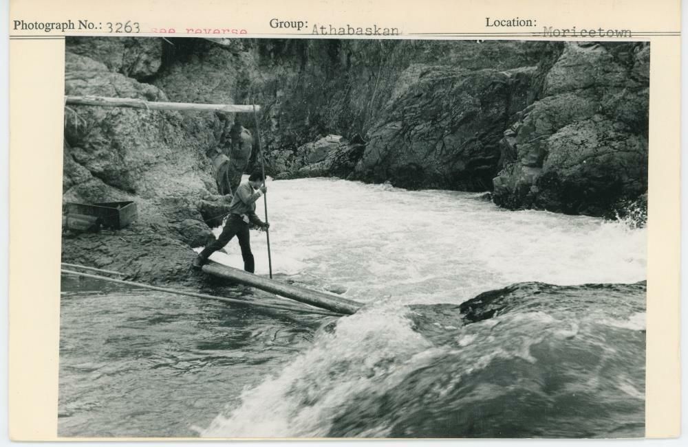 Image representing photograph.