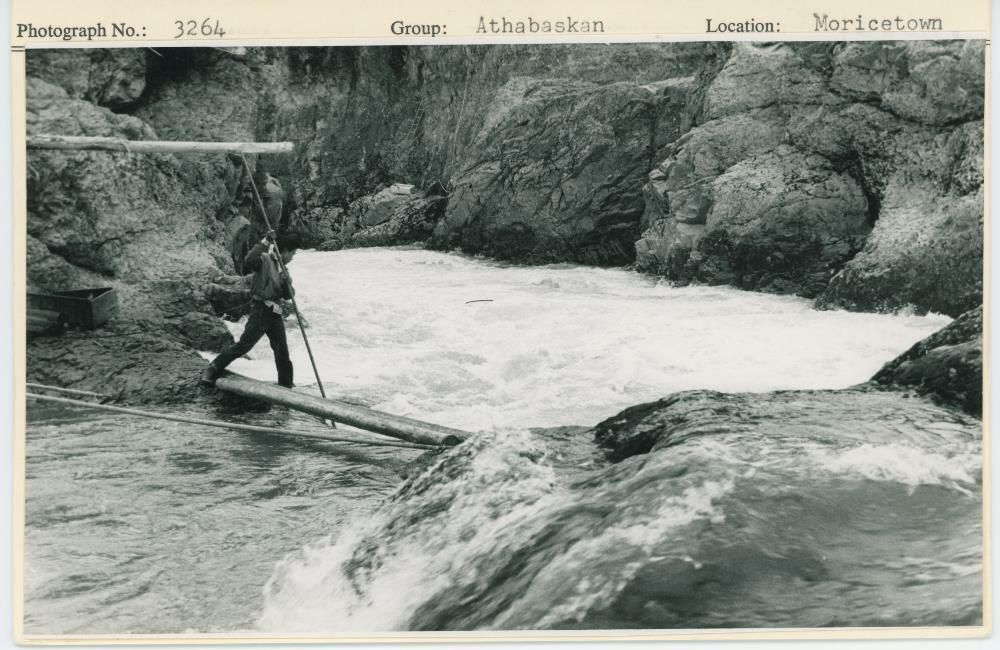 Image representing photograph.