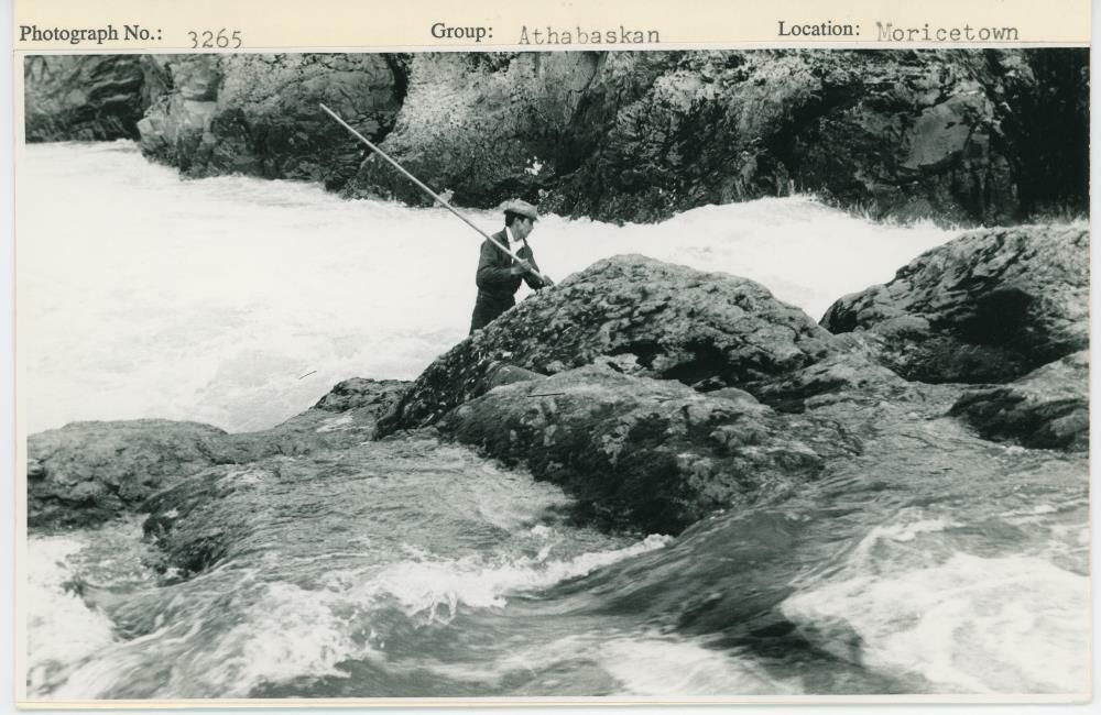 Image representing photograph.