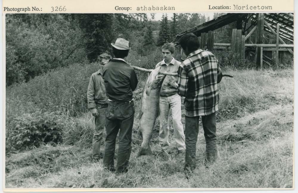 Image representing photograph.