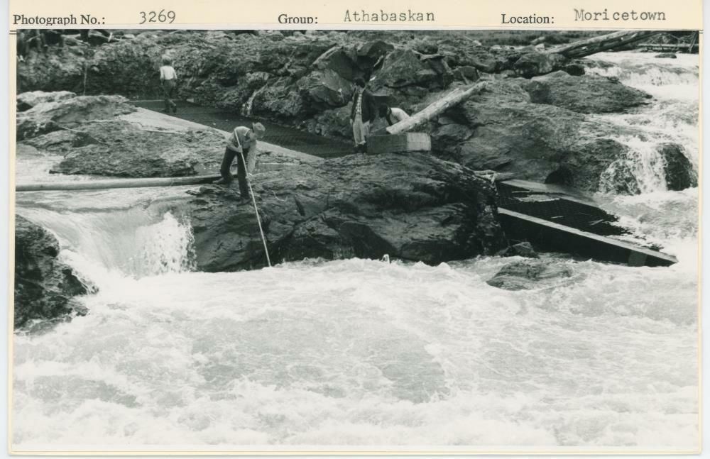 Image representing photograph.