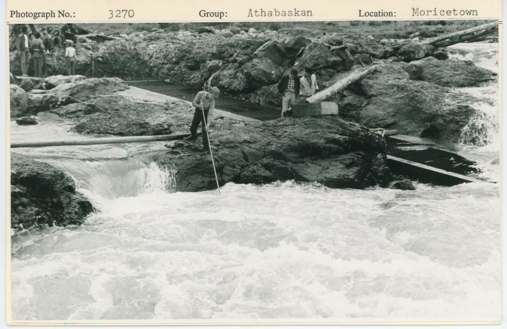 Image representing photograph.