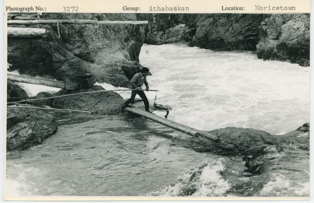 Image representing photograph.