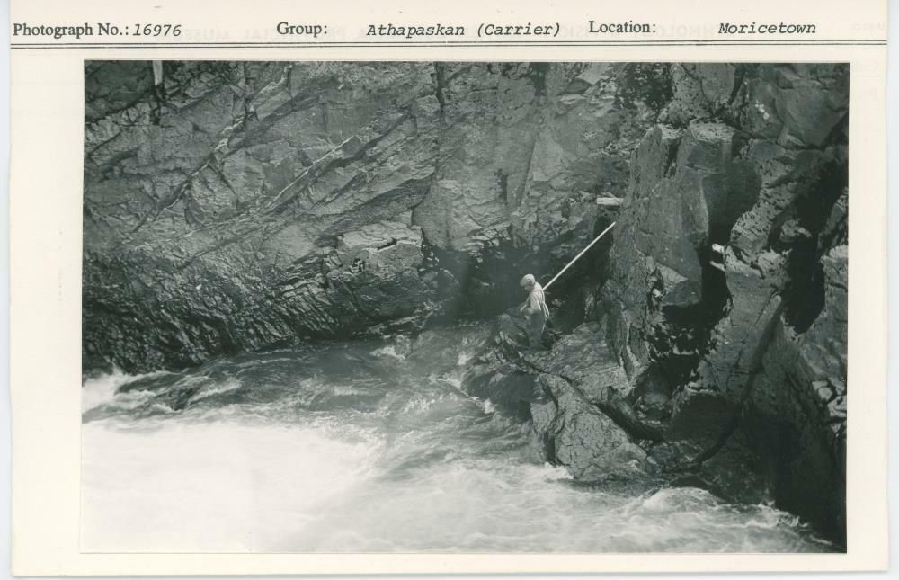 Image representing photograph.