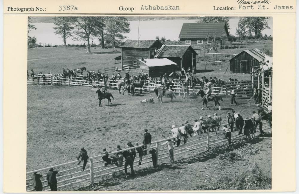 Image representing photograph.