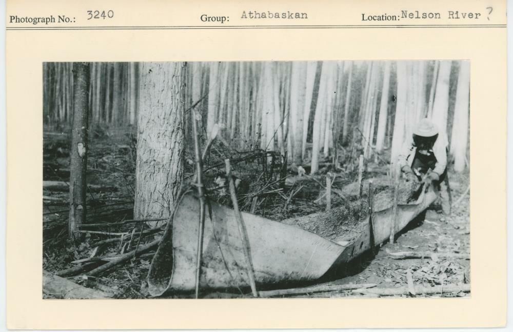 Image representing photograph.