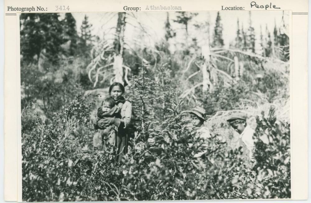 Image representing photograph.