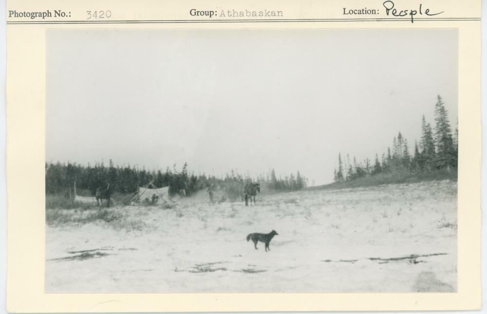 Image representing photograph.