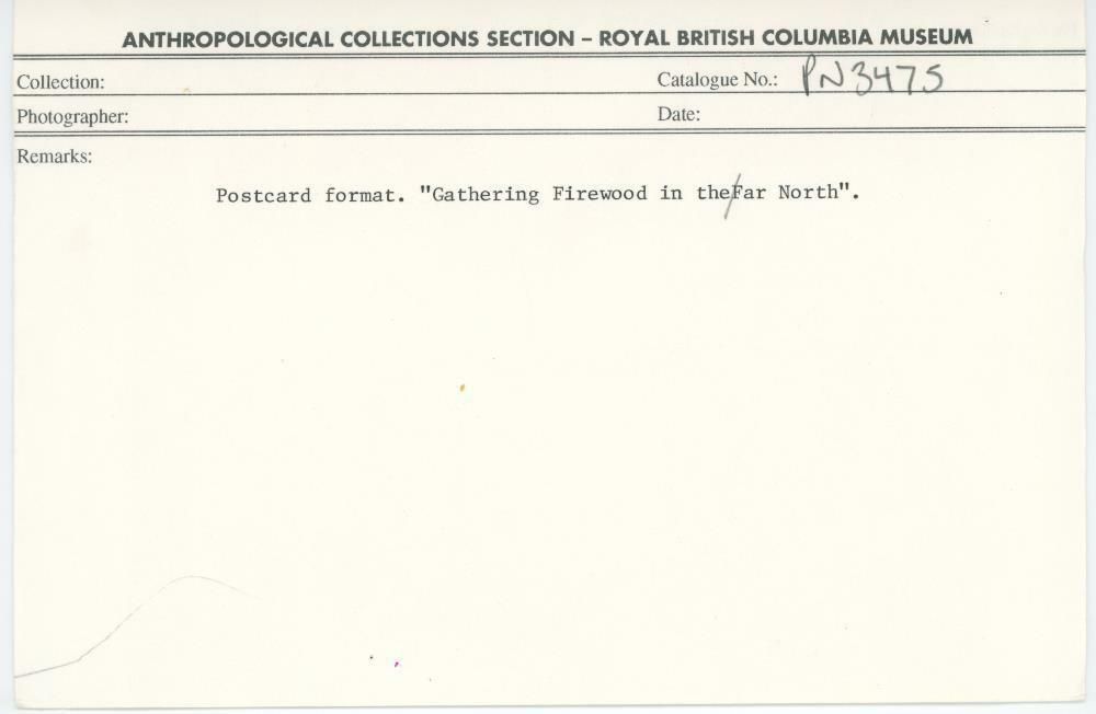 Image representing photograph.