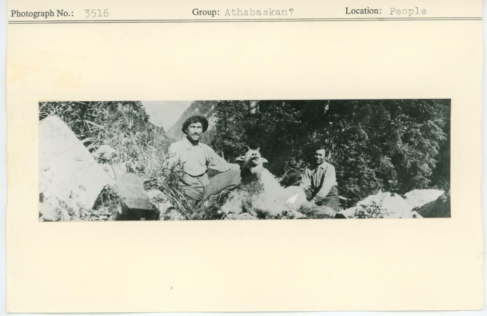 Image representing photograph.