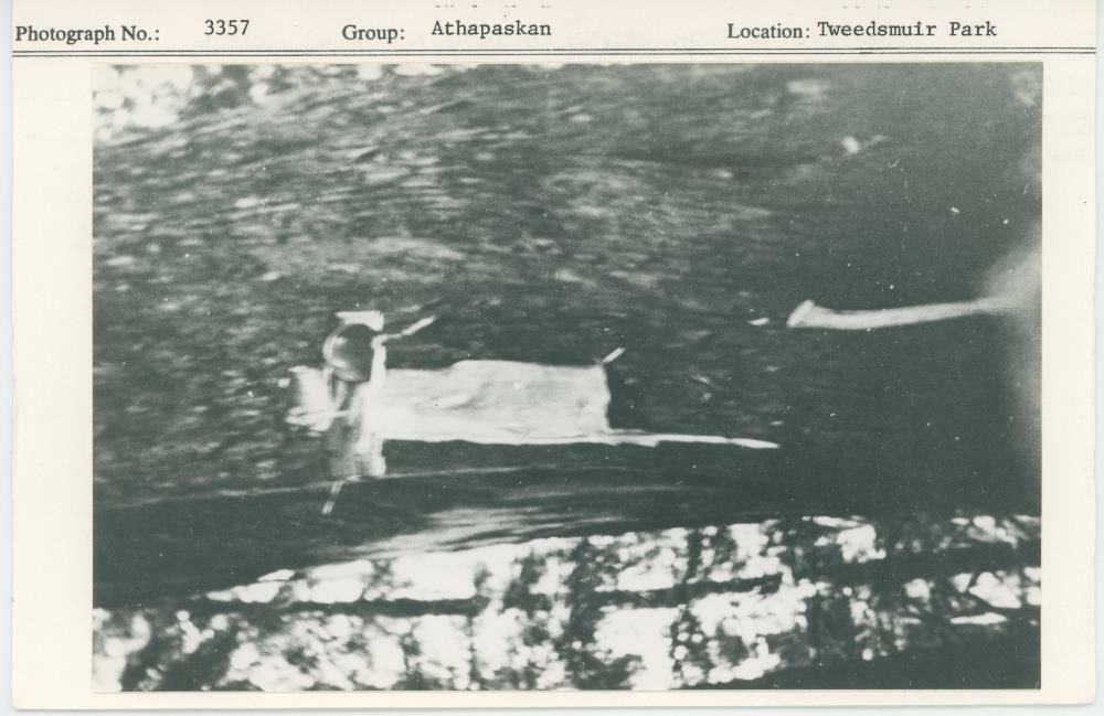 Image representing photograph.