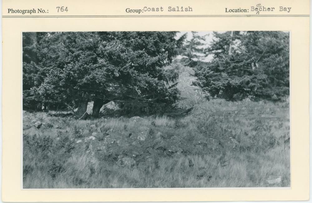 Image representing photograph.