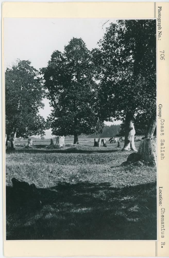 Image representing photograph.