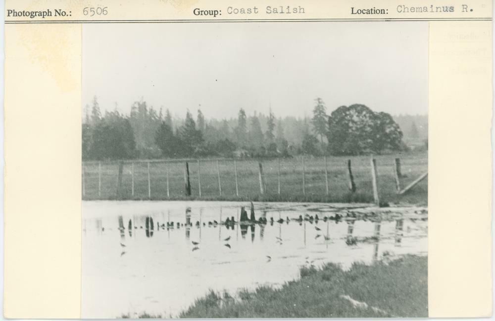 Image representing photograph.