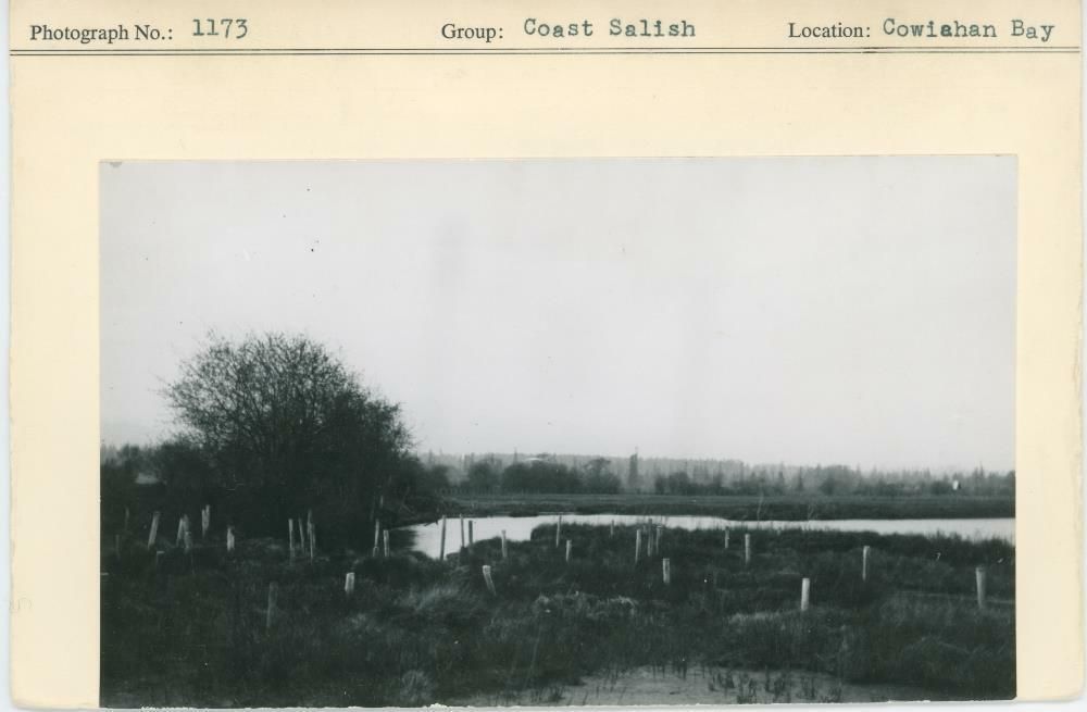 Image representing photograph.