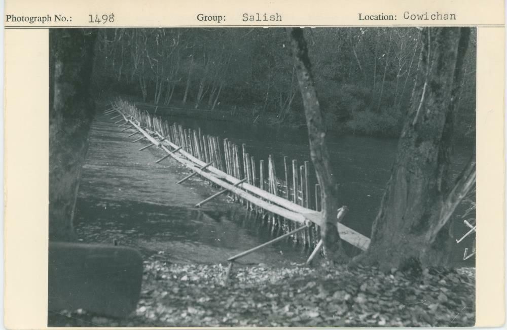 Image representing photograph.