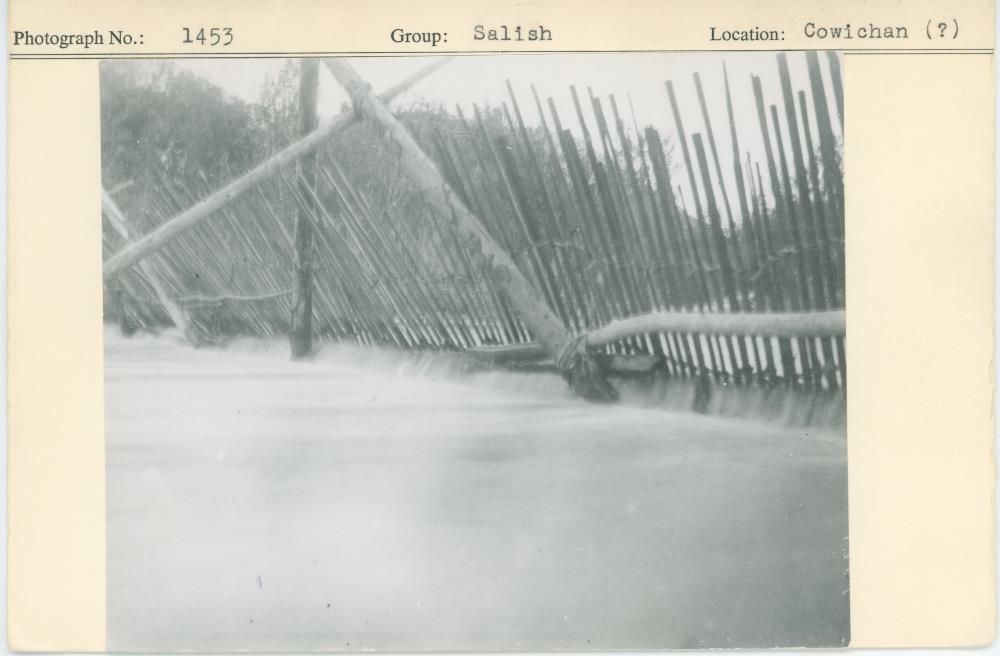 Image representing photograph.