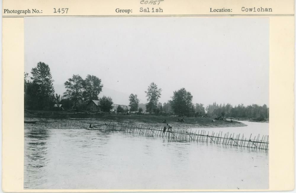 Image representing photograph.