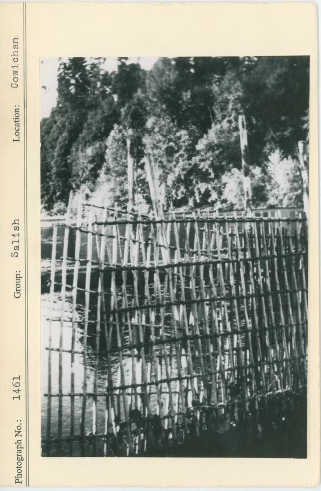 Image representing photograph.