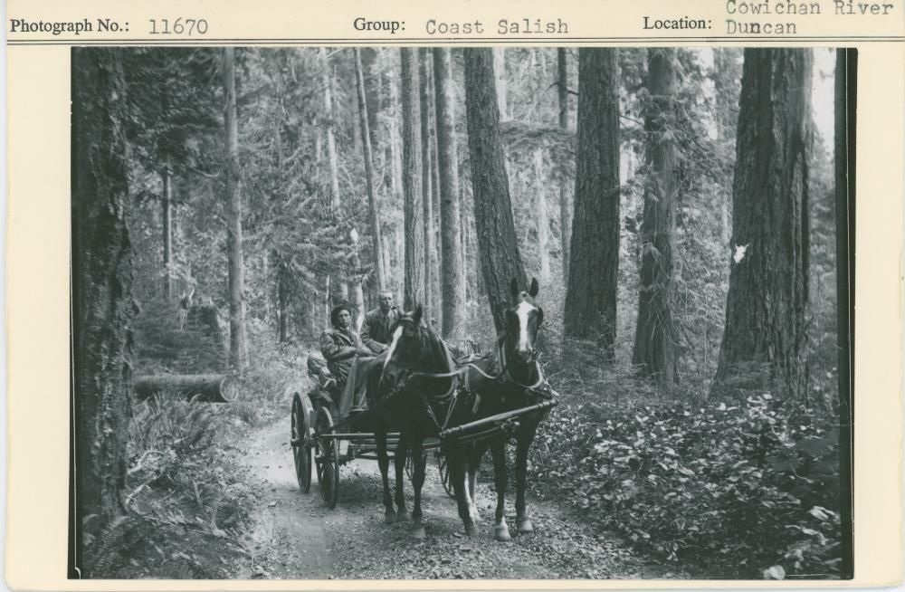 Image representing photograph.