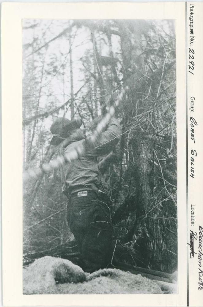 Image representing photograph.