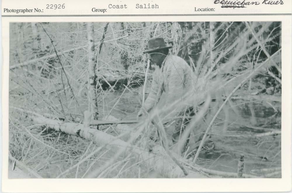 Image representing photograph.