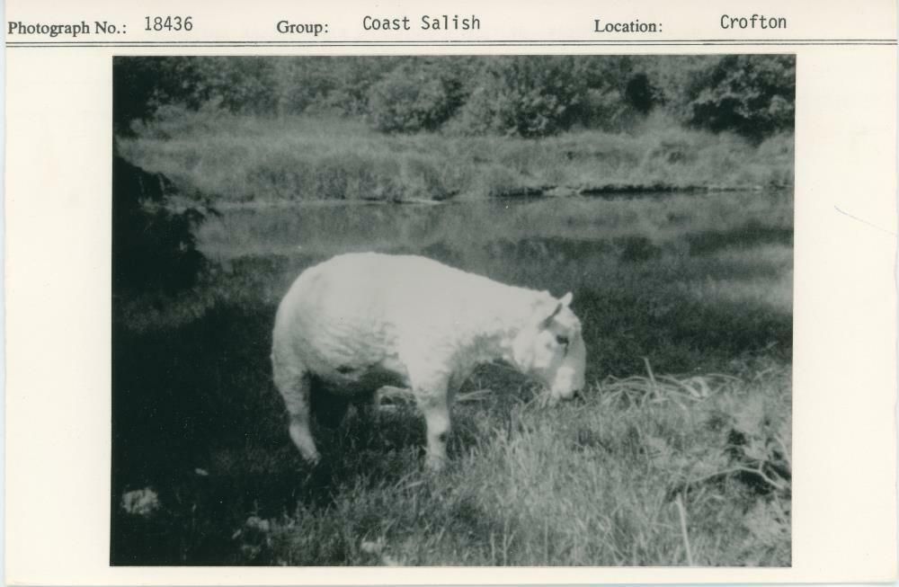 Image representing photograph.