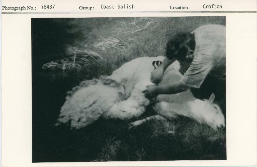Image representing photograph.