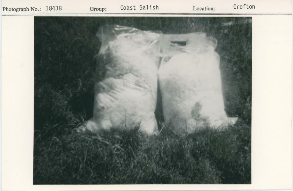 Image representing photograph.