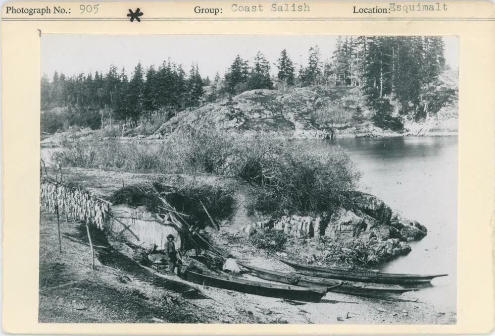 Image representing photograph.