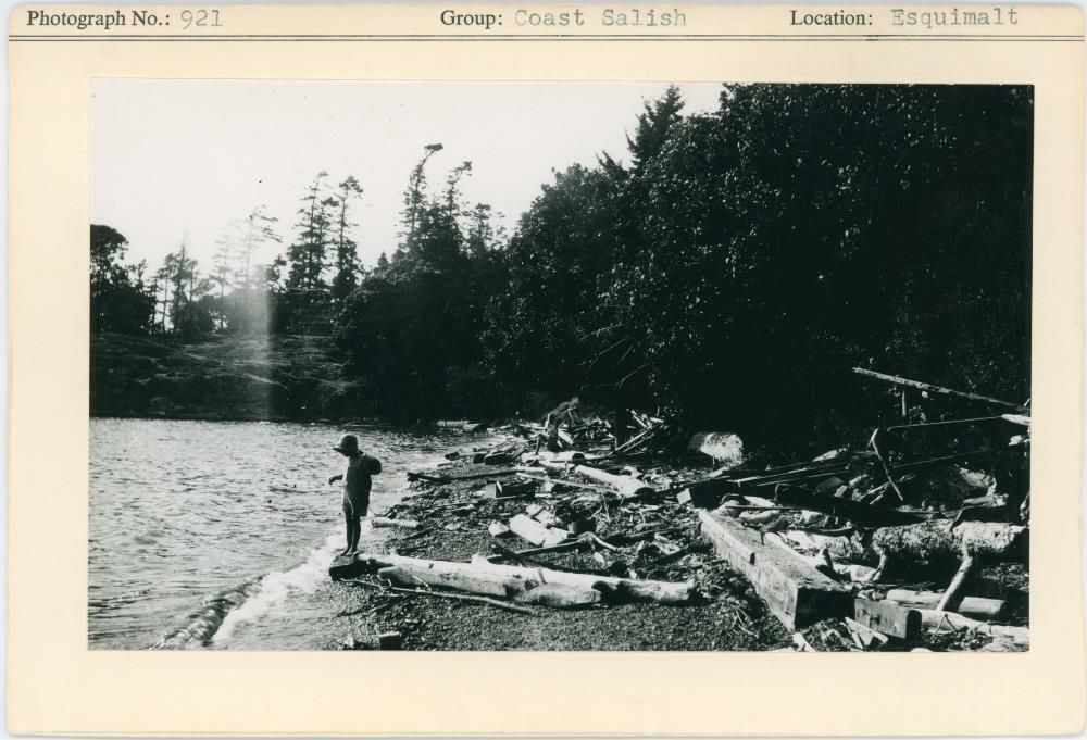 Image representing photograph.