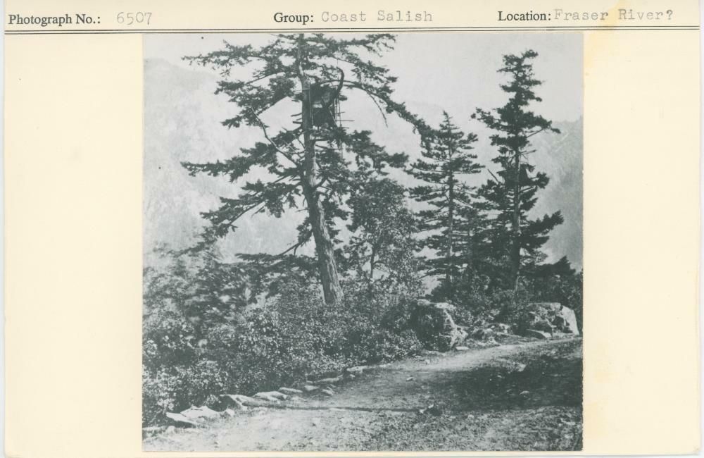 Image representing photograph.