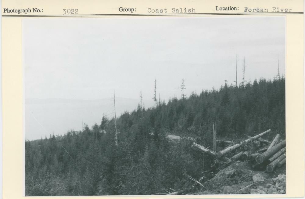 Image representing photograph.