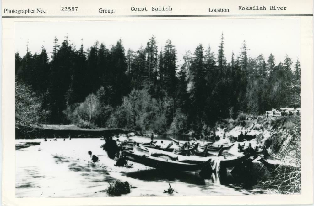 Image representing photograph.