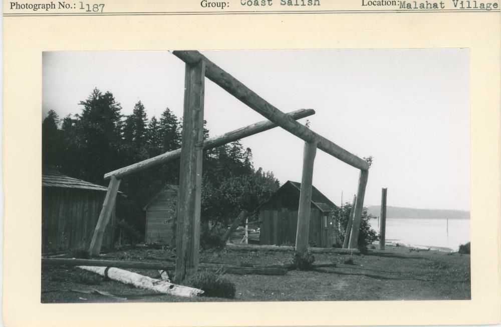 Image representing photograph.