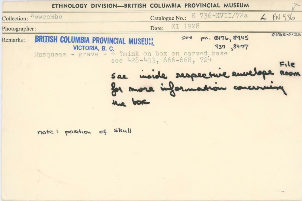 Image representing photograph.