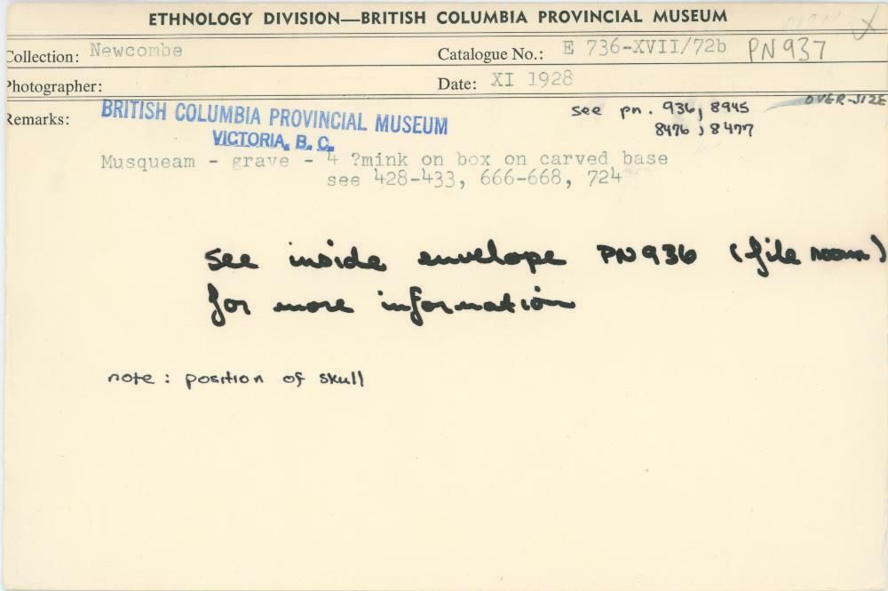 Image representing photograph.