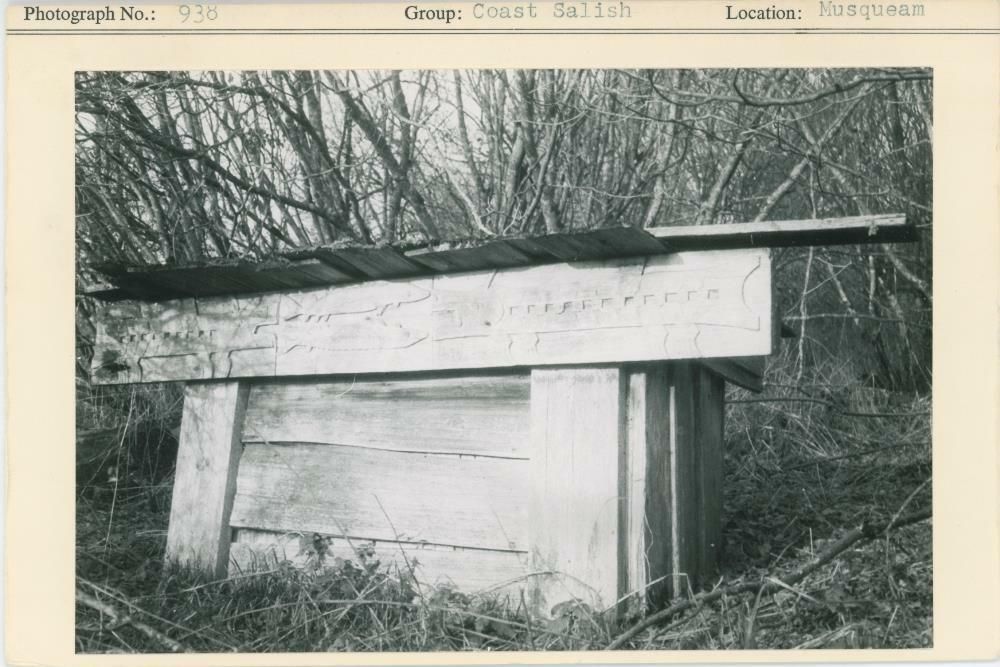 Image representing photograph.