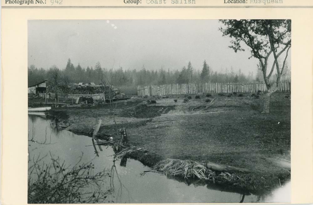 Image representing photograph.