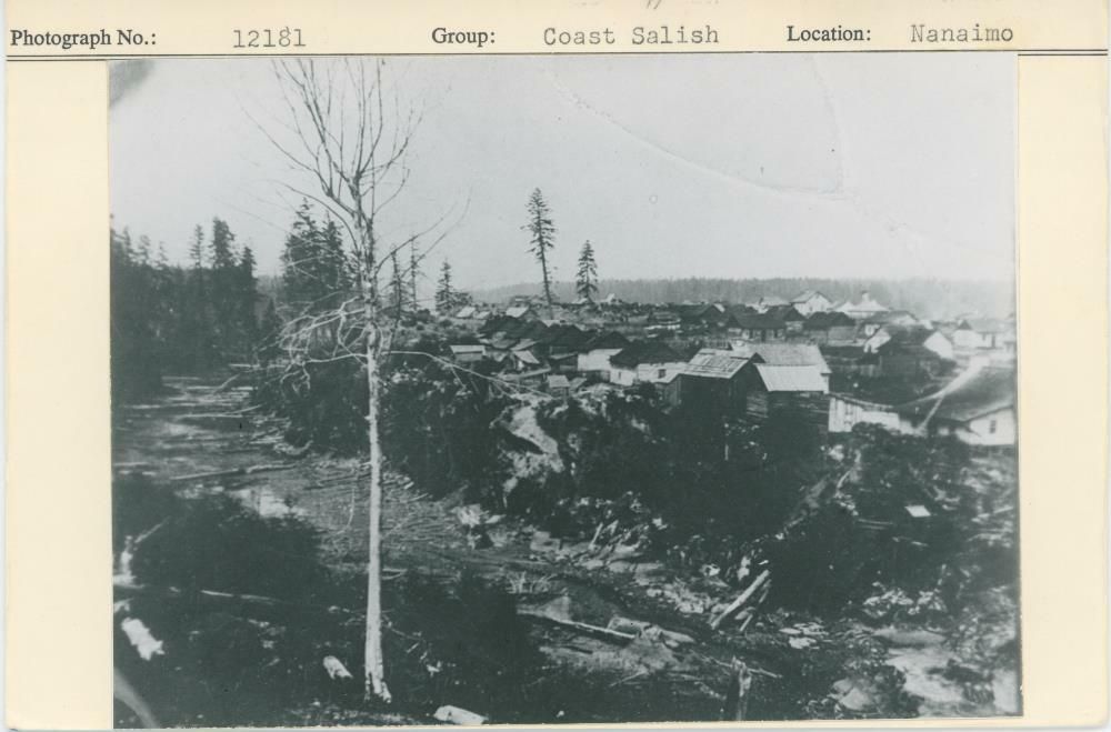 Image representing photograph.