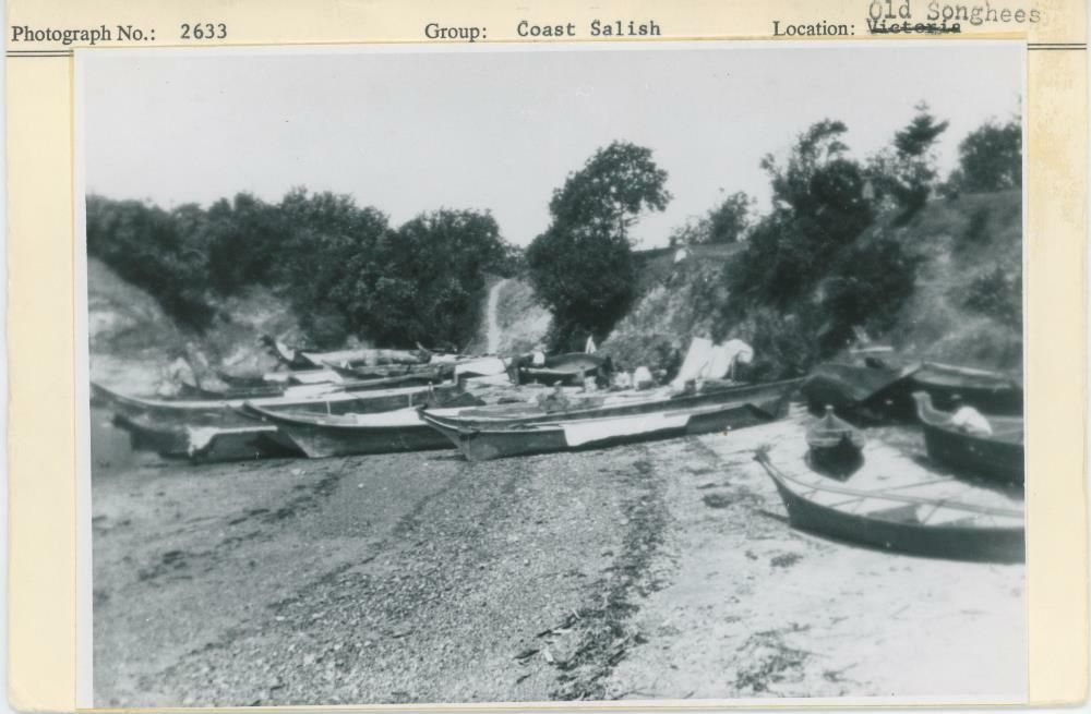 Image representing photograph.