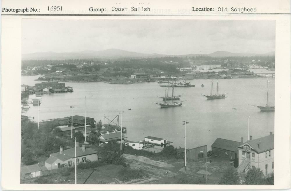 Image representing photograph.