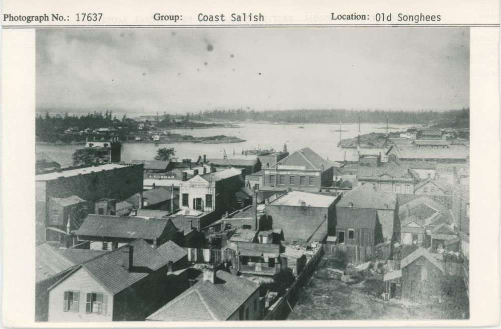 Image representing photograph.