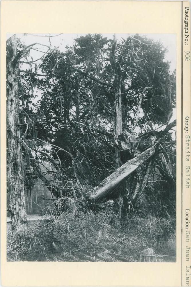 Image representing photograph.